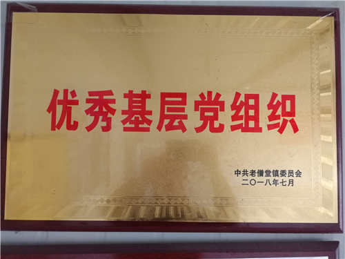 荣誉资质