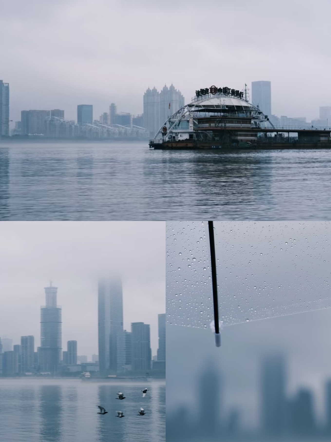 草莓免费视频武汉办事处：江滩踏春徒步，凝聚团队力量