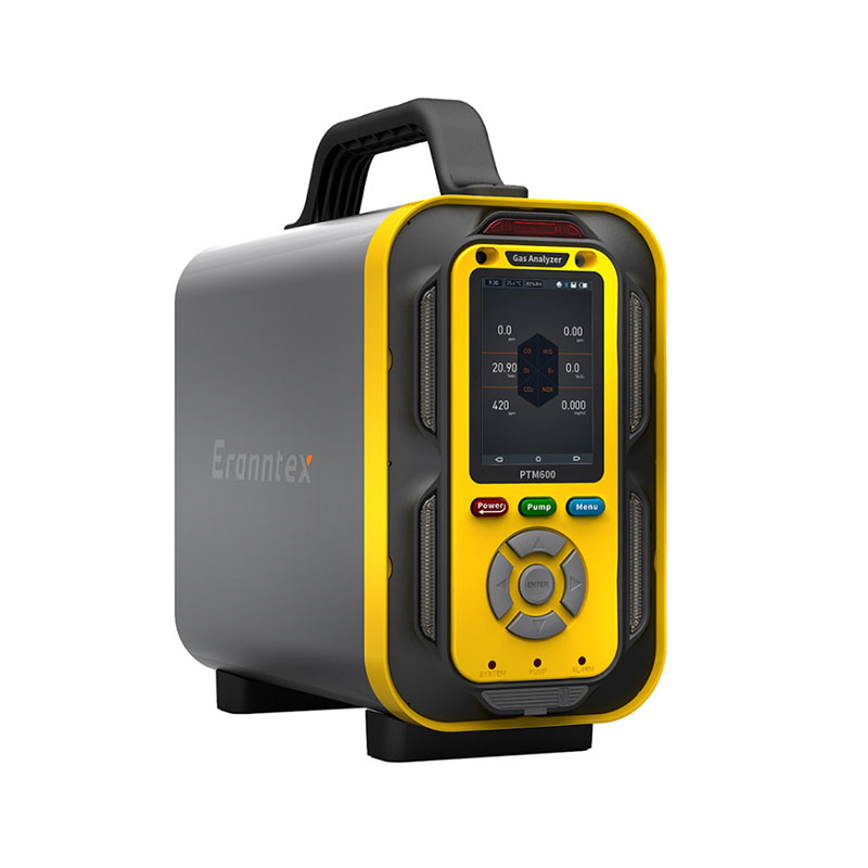 手提式复合型气体草莓视频污成人 BTYQ-PTM600-3X